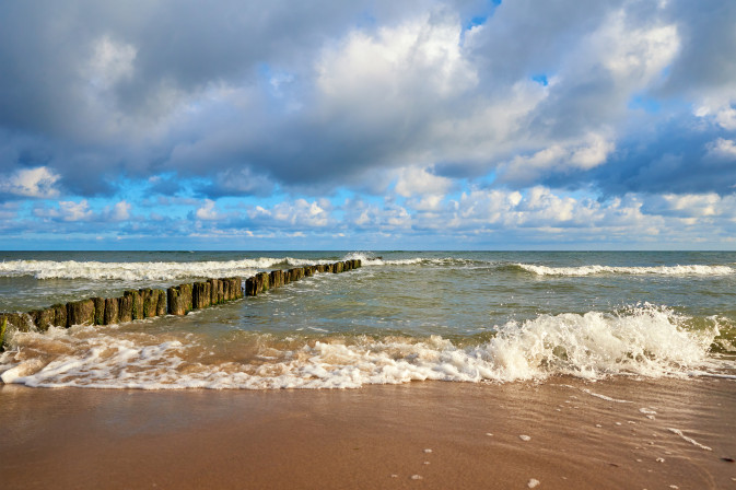 REST-COAST presented at stakeholder meeting in Germany