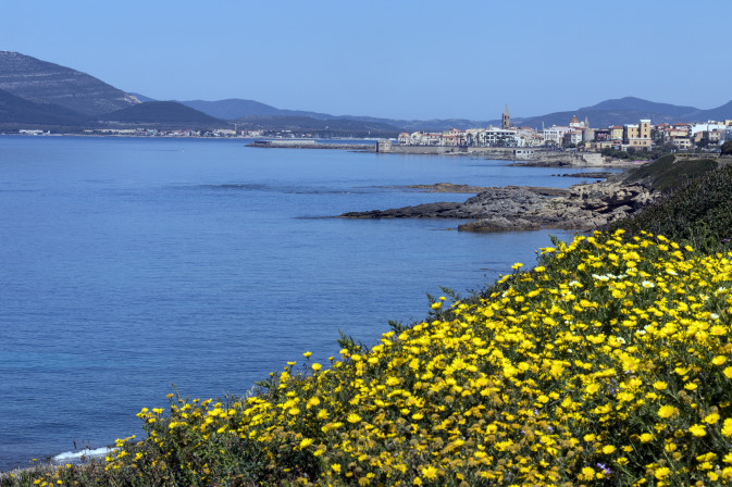 Blog article highlights the global potential of REST-COAST restoration approaches