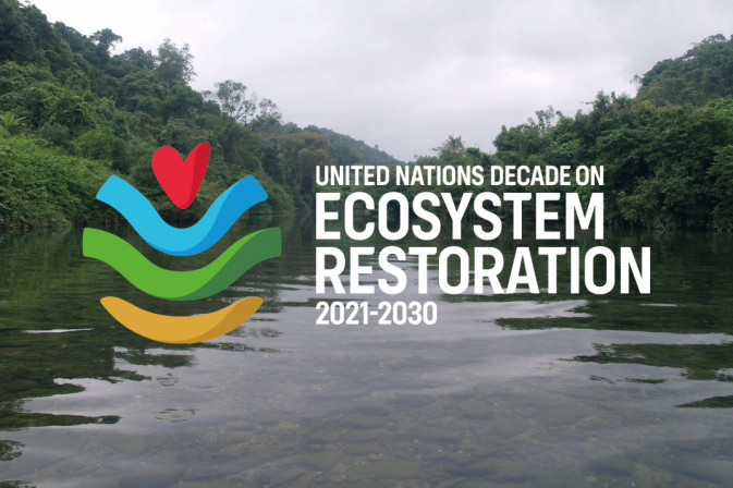 REST-COAST featured on the UN Ecosystem Restoration Hub