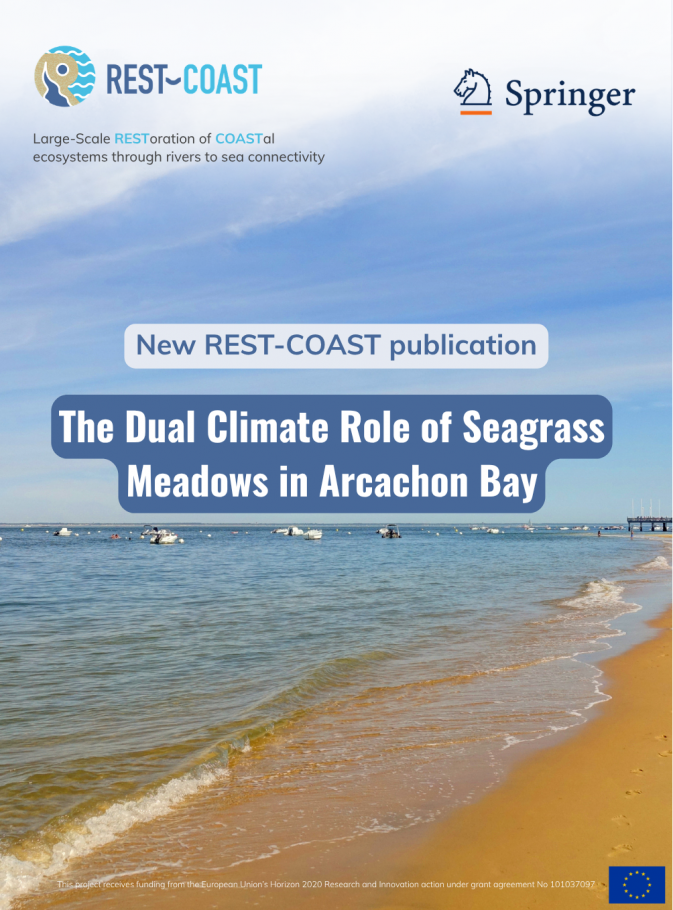 New REST-COAST-supported study highlights the dual climate role of seagrass meadows