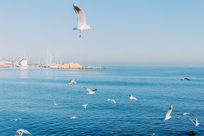 REST-COAST at the coastal management workshop in Barcelona