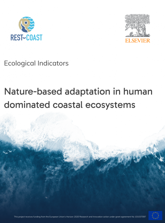 New REST-COAST publication supports nature-based coastal restoration and adaptation