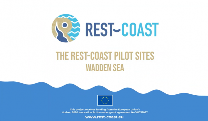 REST-COAST Pilots: new video from the Wadden Sea